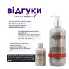 Roots SeboBalance Normalizing Shampoo — нормализующий шампунь для кожи головы