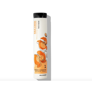 Elgon Refibra Restoring Shampoo Шампунь восстанавливающий